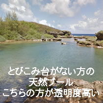 透明度が高いプール