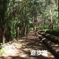 遊歩道