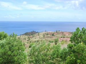 セラ湾展望台からの眺め