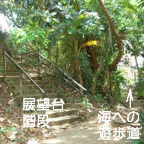 展望台への階段と海への遊歩道