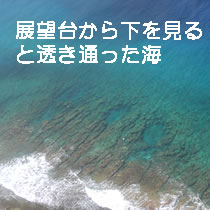 透き通った海
