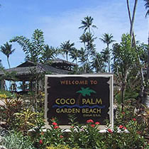 きれいな砂浜が広がる