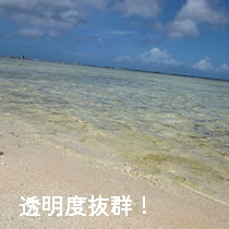 プレートランチ