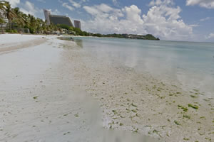 マタパンビーチ