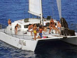 イルカウォッチングのクルーザー