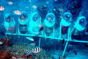 シーウォーカー