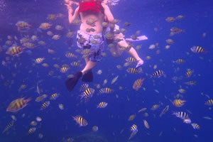 シュノーケリング