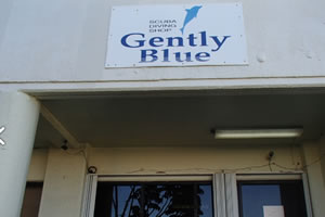 ジェントリーブルー