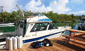 グアムオーシャンアカデミー