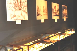 土器などの展示