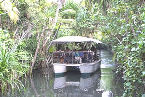 リバークルーズの船