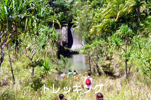 レーシングカート体験