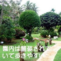 園内は舗装されていて歩きやすい