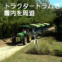 トラクタートラムで園内を周遊