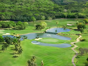 オンワードタロフォフォ