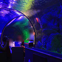 ロマンチックな夜のラウンジ