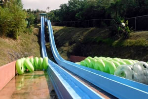 スピードシュート