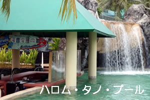 ハロムタノプール