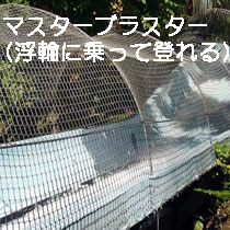 マスターブラスター