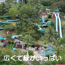 広くて緑がいっぱい