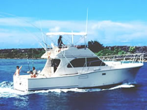 豪華クルーザー