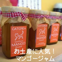 お土産に人気のマンゴージャム